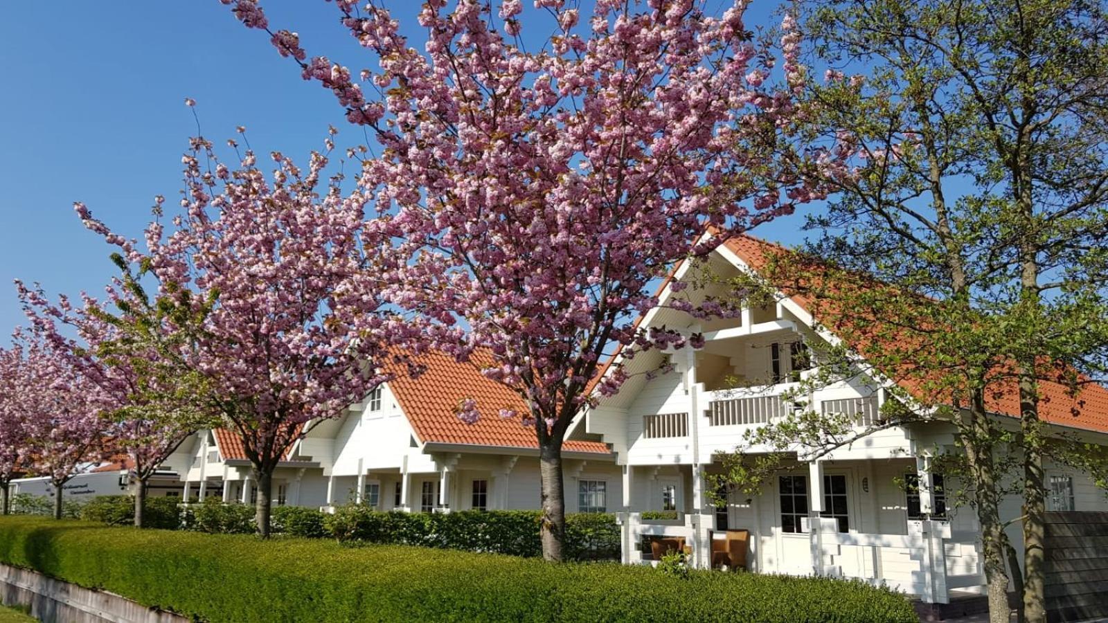 Holiday Park Dennenbos Oostkapelle Bagian luar foto