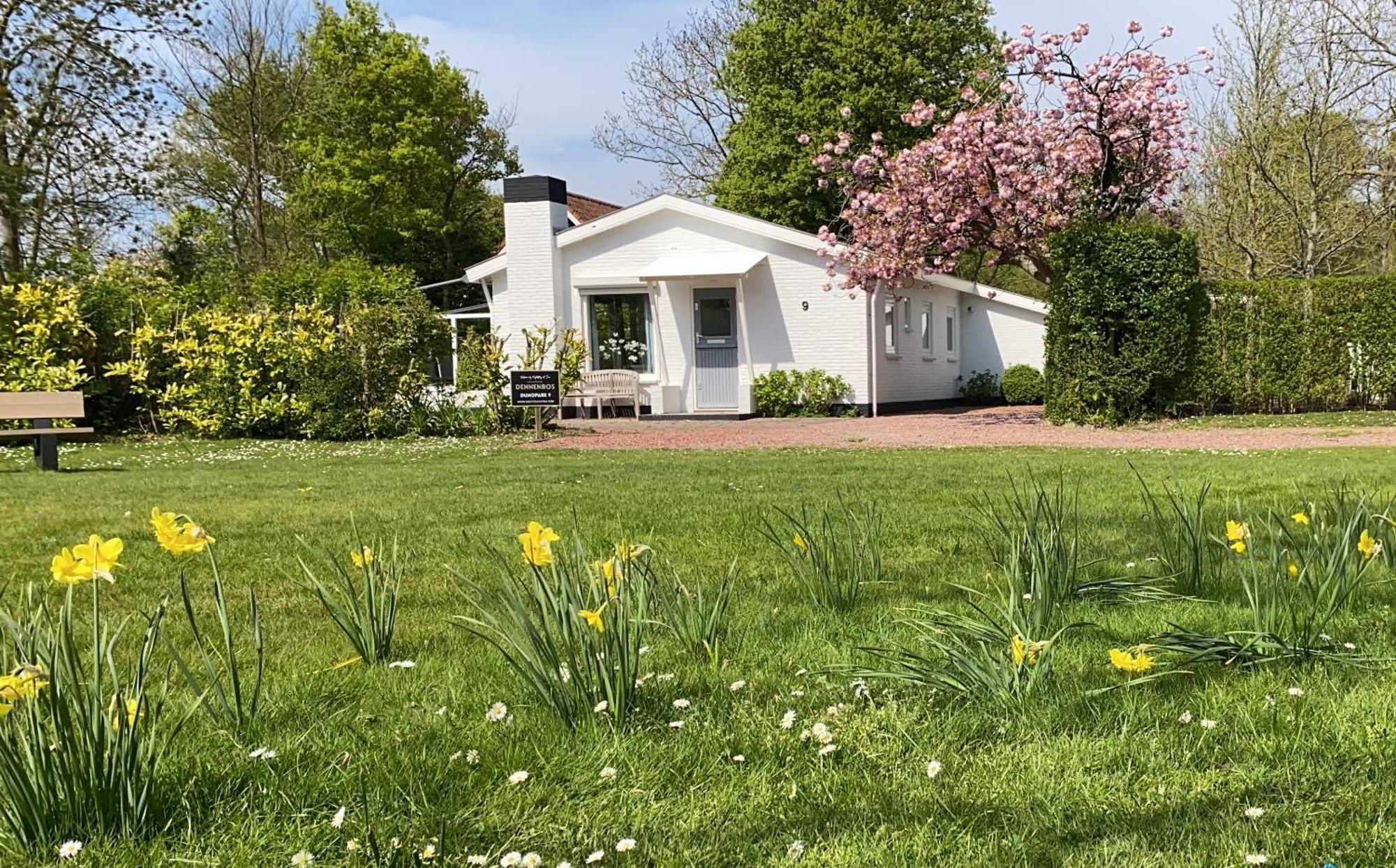 Holiday Park Dennenbos Oostkapelle Bagian luar foto