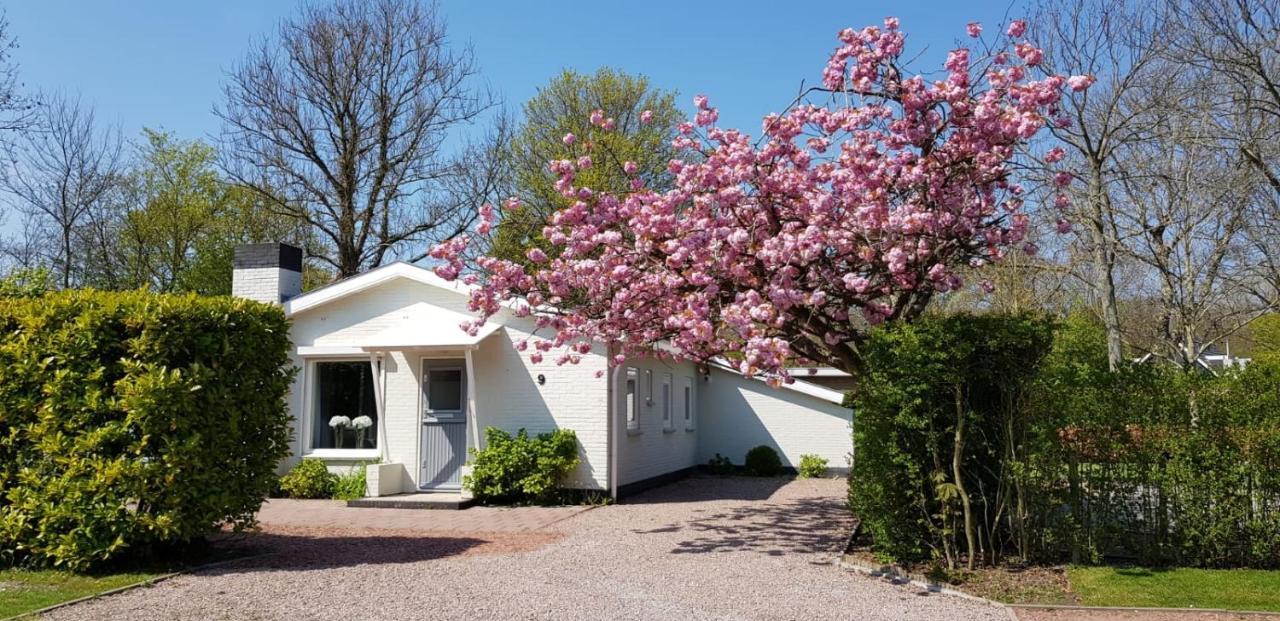 Holiday Park Dennenbos Oostkapelle Bagian luar foto